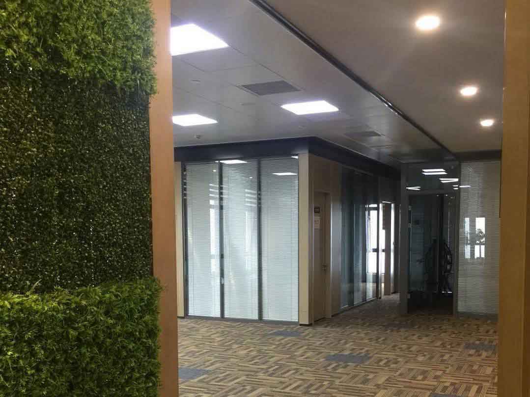 n_v2081298ade1ec4343b016c71f80e8734b