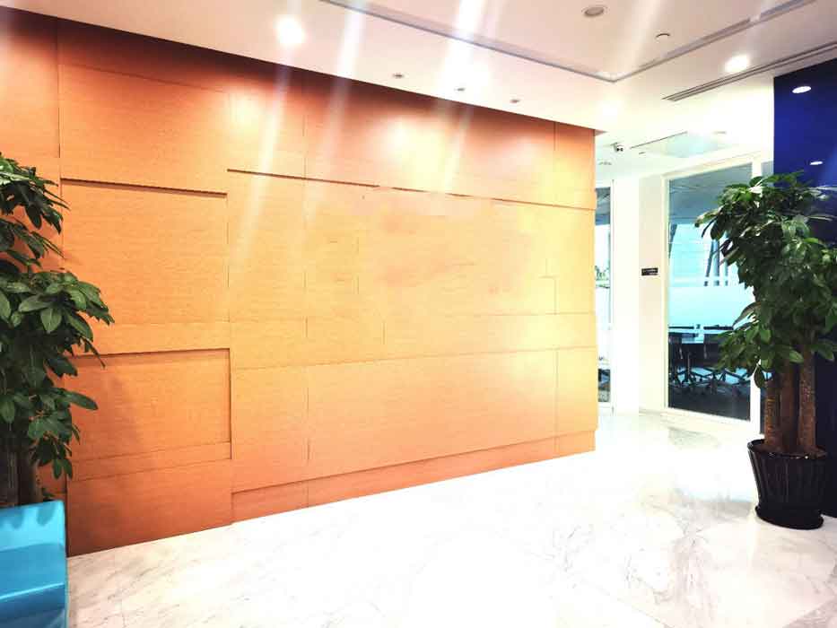 微信图片_2026-01-31_221649_444