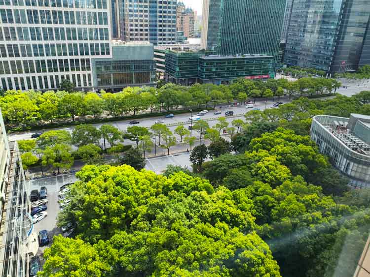 微信图片_2026-03-25_200902_914