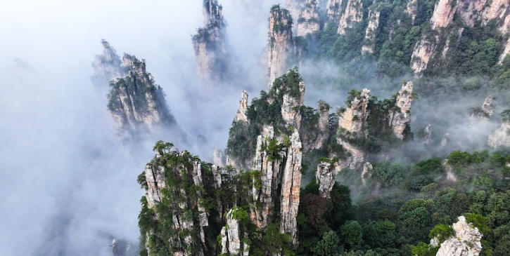 单季净赚1087 万,ST 张家界2025Q3扭亏 单季净赚1087 万,ST 张家界2025Q3扭亏