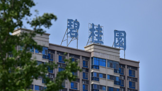 1762942840370_6BWxdD_1762942840564 1762942840370_6BWxdD_1762942840564