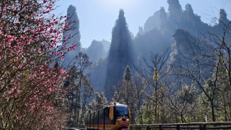 张家界旅游集团2025年预亏4.5亿至5.5亿元