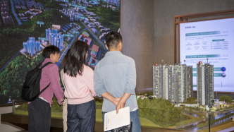 1773651138209_P45m5d_1773651138364